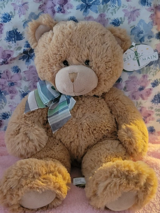 Dean the Teddy Bear Plush