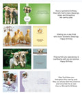 Fur and Feathers Birthday Cards (12)