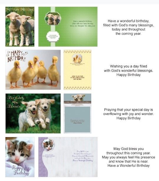 Fur and Feathers Birthday Cards (12)