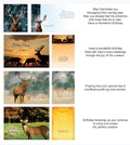 Wildlife Birthday Cards (12)