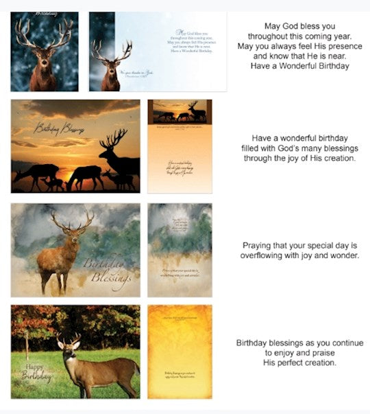 Wildlife Birthday Cards (12)