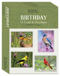 Backyard Birds Birthday Boxed Cards (12) Family Treasures