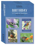 Cheery Blessings Birthday Boxed Cards with Scripture (12)