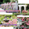 Garden Splendor Birthday Cards (12)