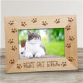 Best Cat Ever Picture Frame Non-Personalized