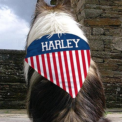 Personalized Patriotic Pet Dog Bandana