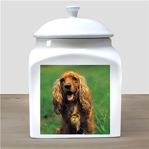 Personalized Photo Ceramic Pet Urn