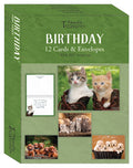 Birthday Cards (12) Furry Wishes Pets with Scripture