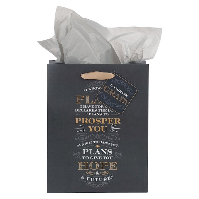 Gift Bag-Medium-I Know the Plans